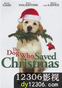 妙狗拯救圣诞节