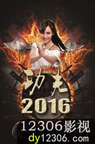 功夫2016