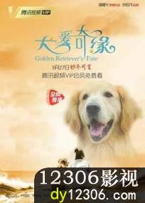 犬爱奇缘