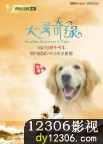 犬爱奇缘在线观看