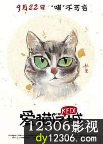 爱猫之城在线观看