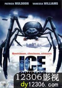 冰冻蜘蛛