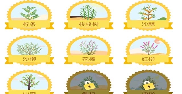 支付宝蚂蚁森林迎来新树"山杏",让你"杏"运满满