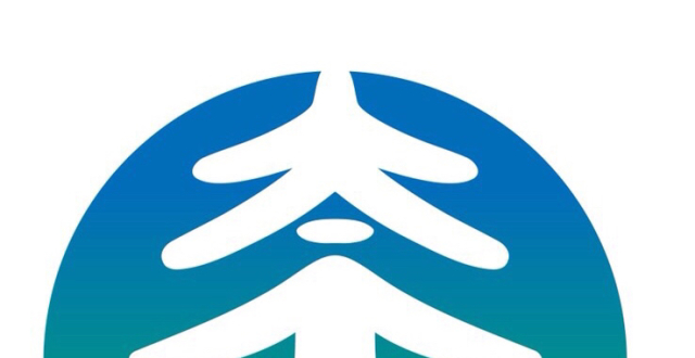 2020年中国太平首届"吉象节·太平客户节"隆重启幕