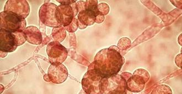 ���29�˲�����ж������ �þ��������롰������в����������