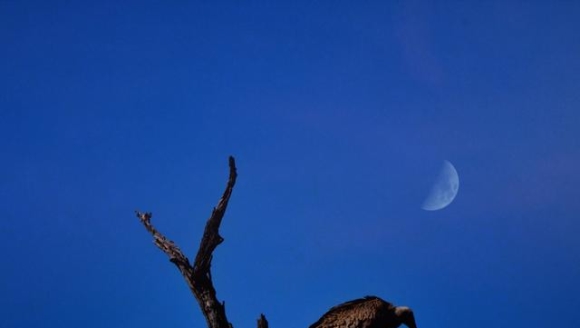 �Ϸ�֮���صĶ�������