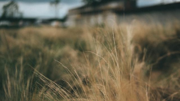 Seconic�����Ĵ����ġ���Ҫ���ˡ�