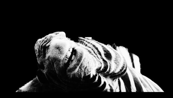 �����������Ĵ����ġ�������������