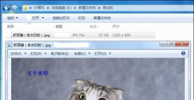 用FSViewer给图片添加文字和水印方法介绍_腾讯新闻