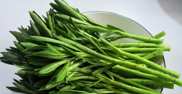 杨玉环没伤害?这样玩试试?