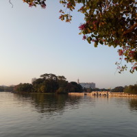 与龙共舞电影经典啊