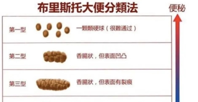 了解大便形成过程，识别你的大便是否健康_腾讯新闻