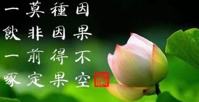 一切皆是因果循环