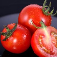 老梁:希特勒眼中的人种论