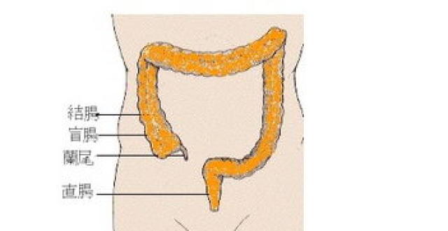 阑尾位置隐隐作痛是怎么回事?