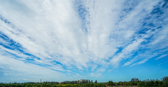 雨后天晴碧空蓝,东郊湿地公园随拍