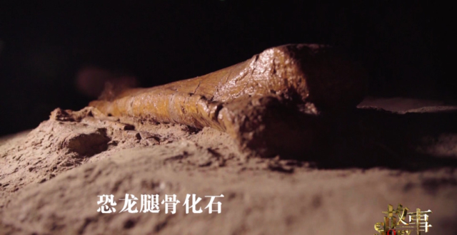 中国“神奇灵武龙”，究竟因何而神奇？_腾讯新闻