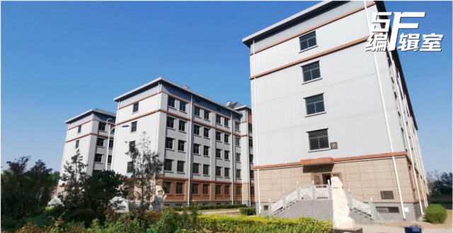 5楼编辑室丨天津"骨灰小区"实地调查