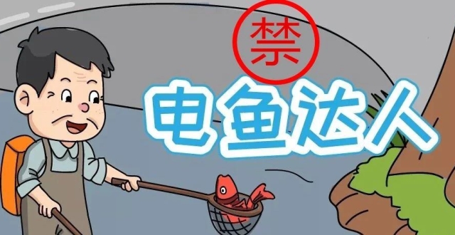 禁渔期非法电鱼1斤,判处拘役2个月