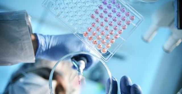 �½�����19��������ȷ�ﲡ��