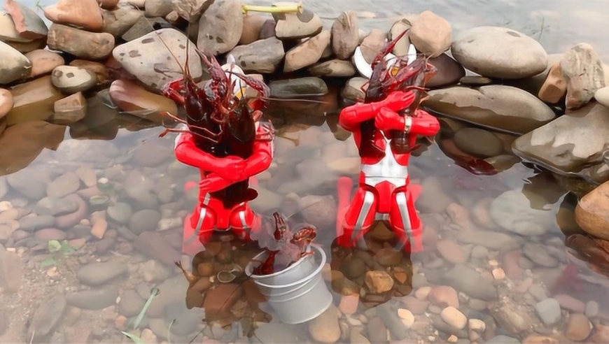 赛文奥特曼和泰罗奥特曼到鱼塘里抓小龙虾