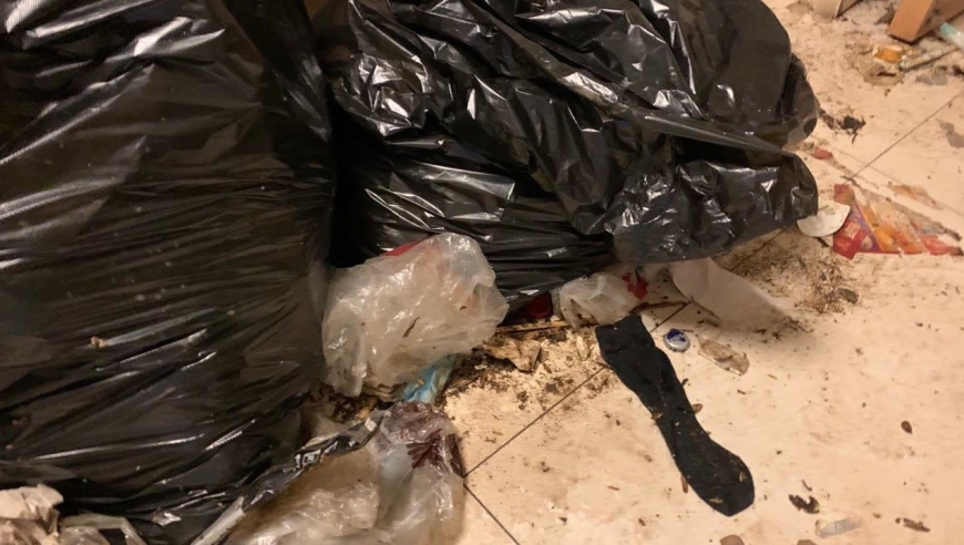 租客留下满屋排泄物后退租 蟑螂满墙飞合租者崩溃仅获赔200元