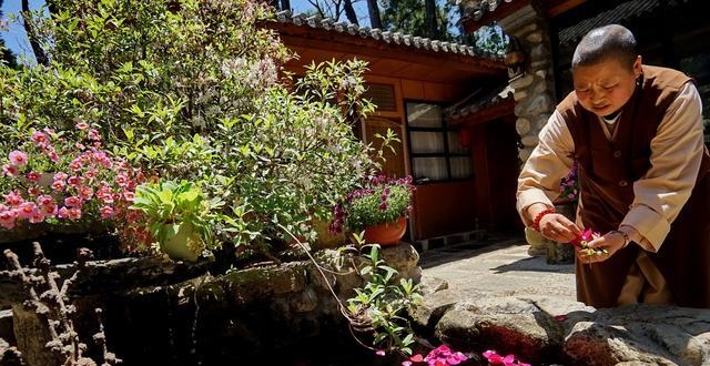 大理苍山寂照庵:没有一丝香火气的寺庙,女游客来了直呼想出家