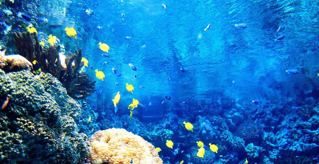 6亿建成,票价150是遛娃好去处潍坊藏着的"国家级"火了,称"东方死海"