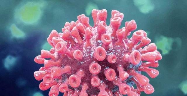 病毒和人类,谁才是世界的主人,盘点人类史上的十大瘟疫