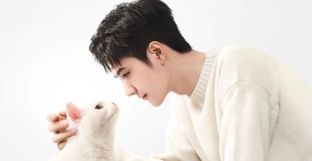 羡慕这只猫!#王一博