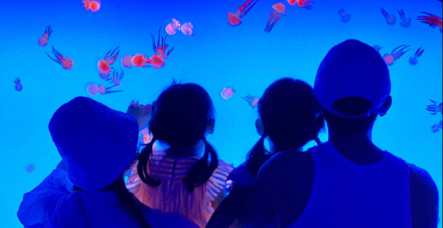 谢娜现身录制快本，获工作人员搀扶还捂着胸口，网友：怀孕了？