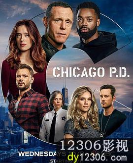 芝加哥警署第八季在线观看