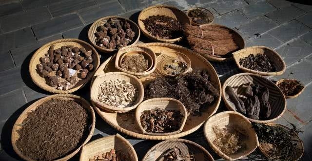 中国古代有望闻问切中草药,外国古代生病怎么治?这些手段真奇葩