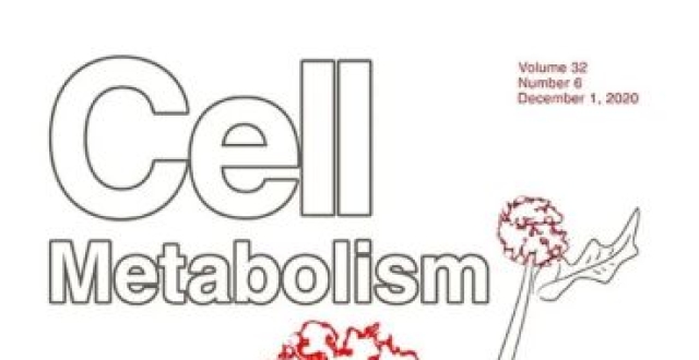 Cell子刊封面：山东大学易凡团队揭示糖尿病肾病新机制_腾讯新闻