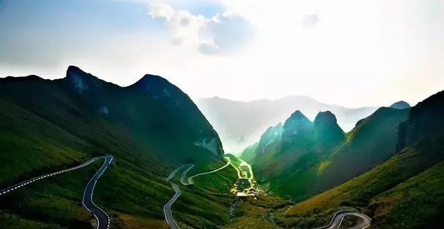 东博会为媒,水木乡与国家航天欲将珍贵香榧树种子送上太空医疗器械