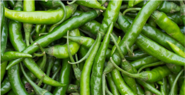 衡阳:辣椒当前价格格外"辣"绿叶瓜果蔬菜价格平稳