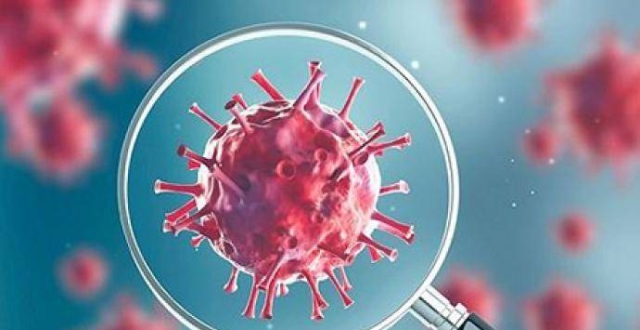 ʯ��ׯ����������������Ϣ���������ɢ��׷��