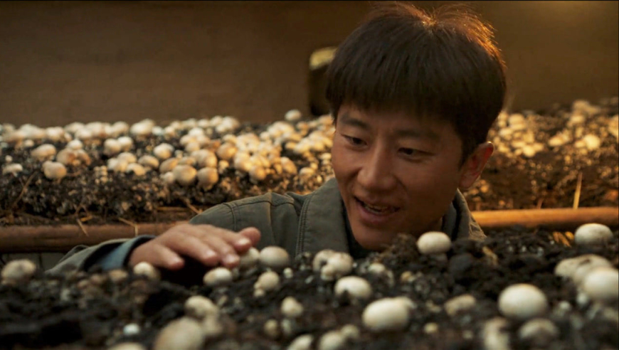 《山海情》9.1逆天开分!堪称神仙剧组,蘑菇都是现种的!