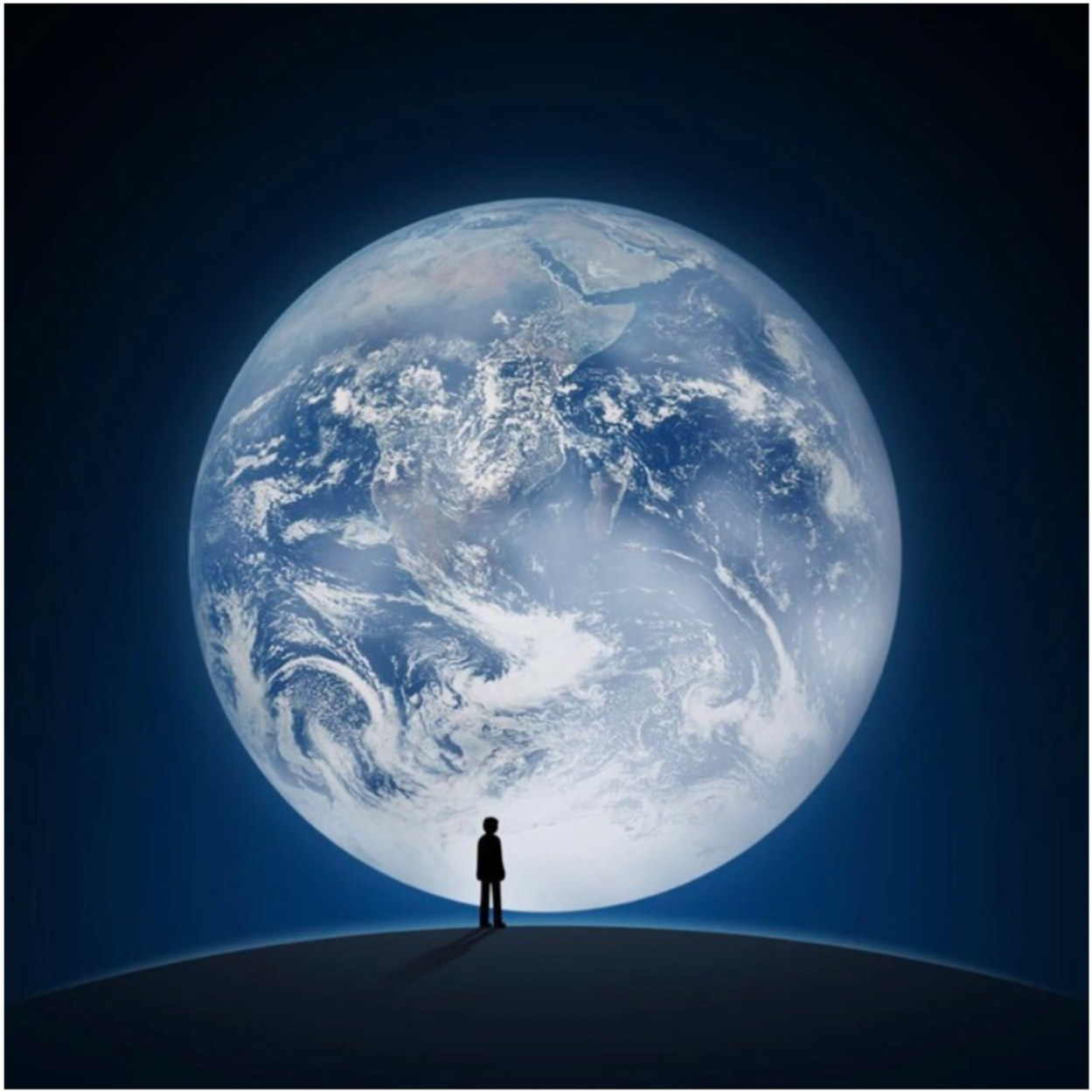 鱼用鳃呼吸 那么鼻孔用来干什么呢 腾讯视频