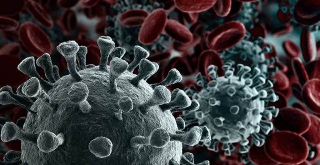 ÿ�տ�ѧ���¹ڷ���Ϊ����ô���ͣ��ų��ߵ�����