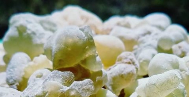 宝藏纯露——阿曼绿乳香