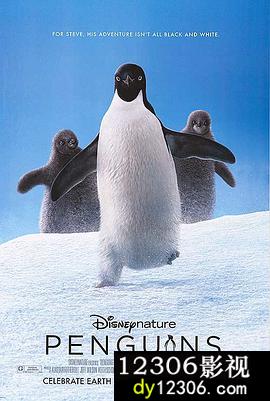 企鹅2019在线观看