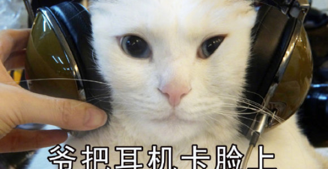 神仙熬夜,越熬越仙