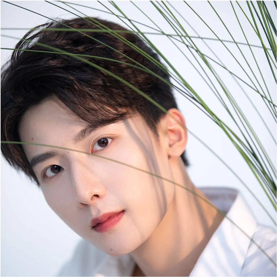 wuli米言的个人页