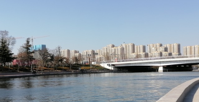 菏泽 大学路 公园一角风景