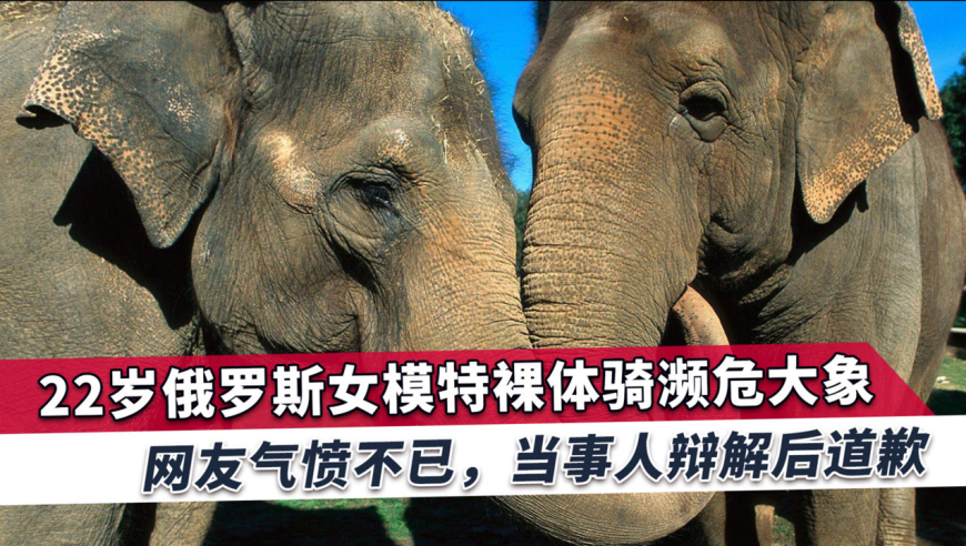 这一幕真是不堪入目,俄年轻女模让全球舆论愤怒,网友:令人羞耻