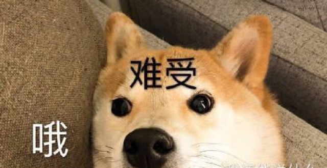 表情包:怪难为情的表情包:你确定这是爱吗?真的爱我吗?