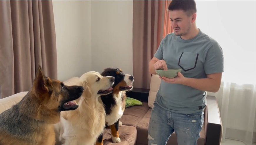 铲屎官端着空碗喂狗子,汪星人会上当吗?一定憋住别笑