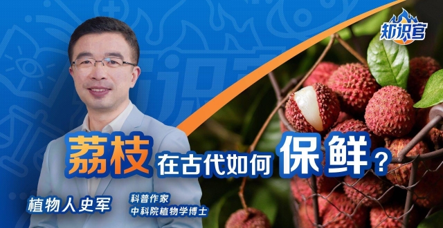 荔枝在古代如何保鲜？杨贵妃吃的荔枝从何而来？_腾讯新闻