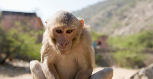 鼠鼠鼠:无论如何都要重视下面这个人,让你未来10年财路不断!